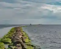 Pärnu