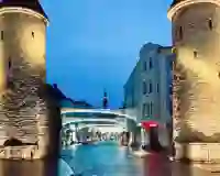 Visa & Entry