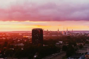 Birdwatching in Estonia: Welcoming Spring Migrants in April 2026