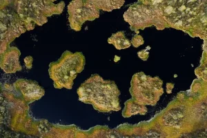 Discovering Estonia’s Bogs: A Spring Hike for April 2026 Visitors
