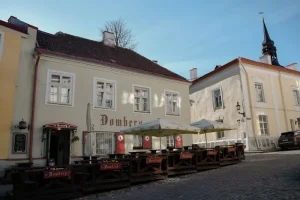 Best Restaurants in Saaremaa: Your Ultimate Foodie Guide