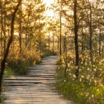 Elva: Estonia’s Lakeside Town Perfect for Nature Lovers and Beachgoers