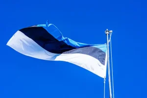 Estonia Digital Nomad: The Ultimate Remote Work Guide