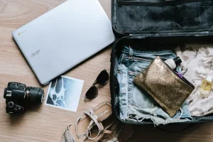 Estonia e-Residency for Digital Nomads: Benefits and How to Use It