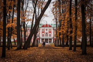 Estonia eSIM Guide: Stay Connected Seamlessly on Your Trip