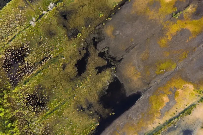 Estonia in May 2026: Your Guide to Spring’s Outdoor Charms