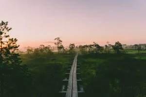 Keila-Joa Waterfall &amp; Manor: A Scenic Day Trip Near Tallinn (But Not Tallinn!)