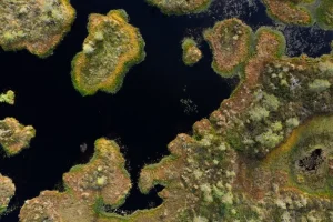Rapla County: Exploring Estonia’s Rural Heart and Hidden Manors