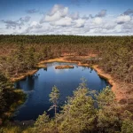 The Ultimate Lahemaa National Park Travel Guide for First-Timers