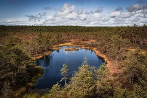 The Ultimate Lahemaa National Park Travel Guide for First-Timers