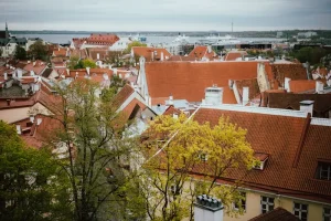 Beyond ‘Tere’: Easy Estonian Phrases for Navigating Estonia