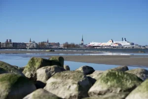 Celebrating Jaanipäev in Estonia: Your June 2026 Guide