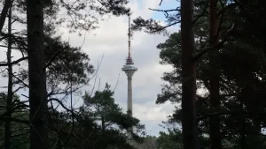 How to Get Mobile Internet in Estonia: A Tourist’s Handbook