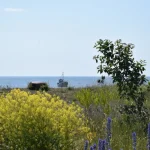 How to Get to Saaremaa: Your Complete Transport Guide