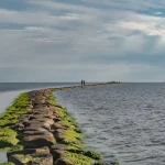 The Ultimate Guide to Pärnu Nightlife: Bars, Clubs &amp; Live Music