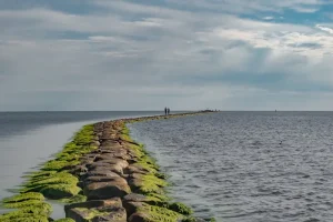The Ultimate Guide to Pärnu Nightlife: Bars, Clubs &amp; Live Music