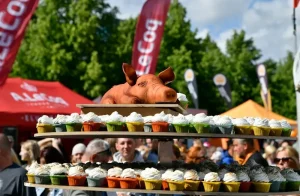 Viljandi Folk Music Festival: Your Ultimate Guide to Estonia’s Summer Sounds
