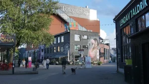 What to Buy in Lahemaa: Your Essential Estonian Souvenir Guide