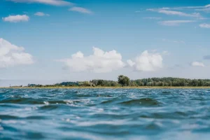 What to Do in Saaremaa for a Perfect Day Trip?