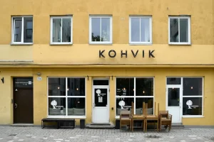 Working Remotely from Estonia: Internet Speeds, Tech Scene, and More