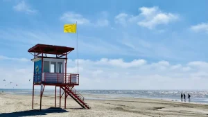 Best Day Trips from Pärnu, Estonia: Your Ultimate Guide