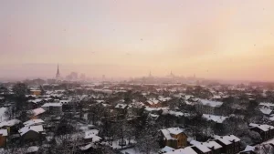 Day Trips from Tallinn: Explore Estonia Beyond the City Walls