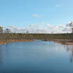 Discovering Lahemaa’s Grand Manors: A Cultural Journey Through Time