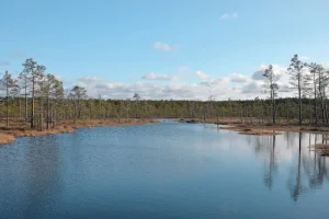 Discovering Lahemaa’s Grand Manors: A Cultural Journey Through Time