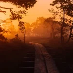 Driving in Estonia: Essential Tips for Foreign Drivers