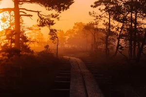 Driving in Estonia: Essential Tips for Foreign Drivers