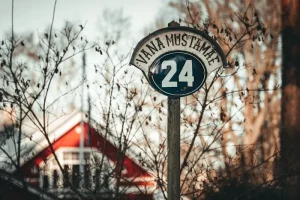 How to Get to Lahemaa National Park from Tallinn: Your Transport Guide