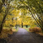 Lahemaa’s Hidden Gems: Off-the-Beaten-Path Spots to Explore