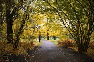 Lahemaa’s Hidden Gems: Off-the-Beaten-Path Spots to Explore