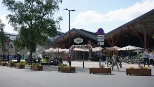 Navigating Tallinn Airport: Facilities, SIM Cards &amp; Services for Travelers