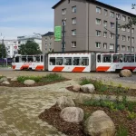 Renting a Car in Estonia: Is it Worth It for Your Trip?