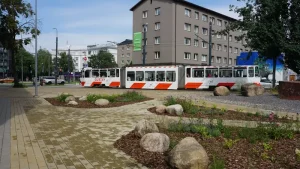 Renting a Car in Estonia: Is it Worth It for Your Trip?