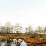 Setomaa: Uncovering Estonia’s Unique Seto Culture and Traditions