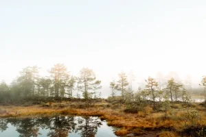 Setomaa: Uncovering Estonia’s Unique Seto Culture and Traditions