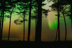 The Ultimate Guide to Kuressaare Nightlife: Bars, Clubs &amp; More