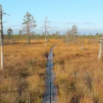 Top Things to Do in Viljandi: Estonia’s Hidden Cultural Gem