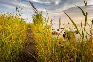 Vormsi Island: A Glimpse into Estonia’s Swedish-Speaking Heritage