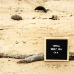 Your First Step to Estonian: Demystifying the Alphabet for Tourists