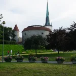 Beyond Google: Must-Have Translation Tools for Your Estonian Adventure
