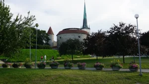 Beyond Google: Must-Have Translation Tools for Your Estonian Adventure