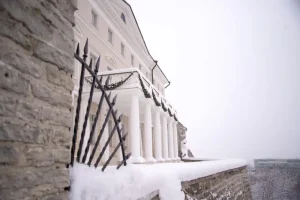 Digital Nomad Community in Estonia: How to Connect &amp; Thrive