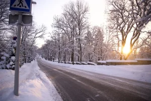 Discover Viljandi: Estonia’s Medieval Folk Capital Beyond Tallinn &amp; Tartu