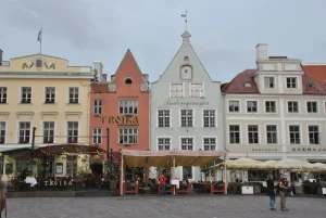 Do I Need a Translation App in Estonia? Unpacking the Best Options
