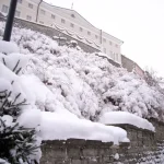 Estonia Budgeting: How to Estimate Your Daily Travel Expenses in Euros