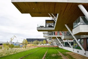 Estonia by Train vs. Bus: Which Transport Option is Right for You?