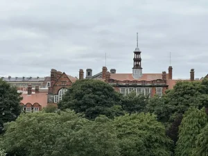 Estonia’s Internet Speed &amp; Connectivity: A Remote Worker’s Review